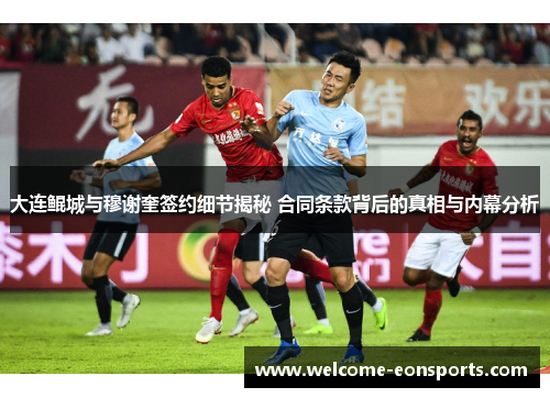 大连鲲城与穆谢奎签约细节揭秘 合同条款背后的真相与内幕分析