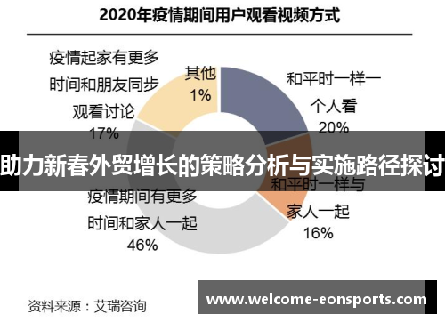助力新春外贸增长的策略分析与实施路径探讨