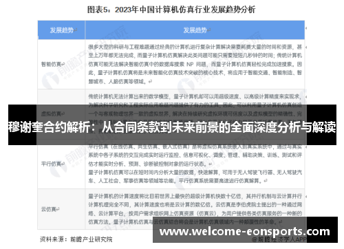 穆谢奎合约解析：从合同条款到未来前景的全面深度分析与解读