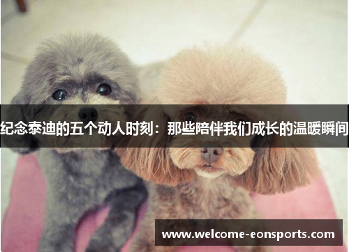 纪念泰迪的五个动人时刻：那些陪伴我们成长的温暖瞬间