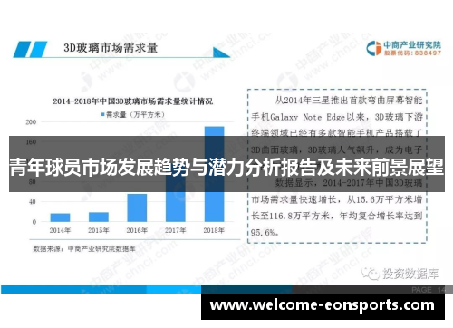 青年球员市场发展趋势与潜力分析报告及未来前景展望