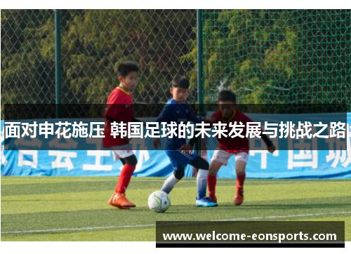 面对申花施压 韩国足球的未来发展与挑战之路